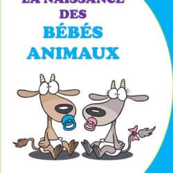 Naissance des bébés animaux