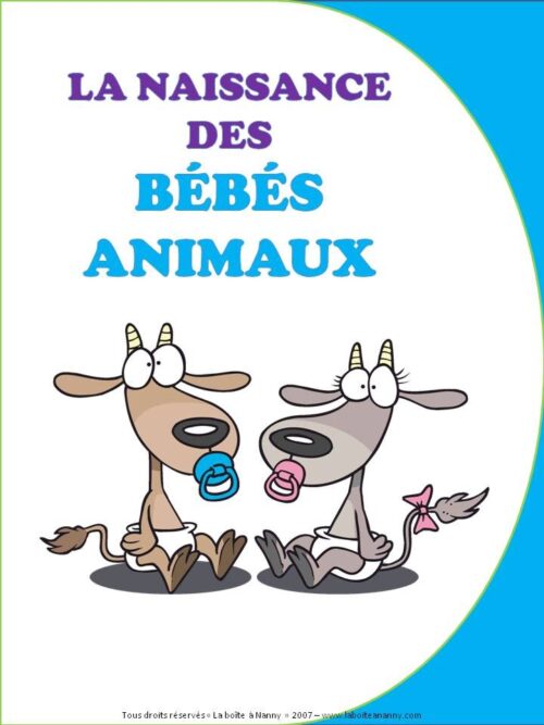 Naissance des bébés animaux