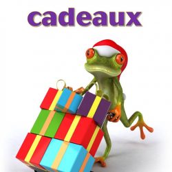 Échange de cadeaux - Livraison de cadeaux